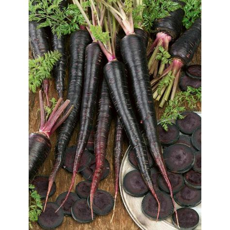 Purple Roots, Colorful Carrots, Black Carrot, Sweet Carrot, Carrot Seeds, Wild Bird Food, Deep Purple Color, Poppy Seeds, Herb Seeds