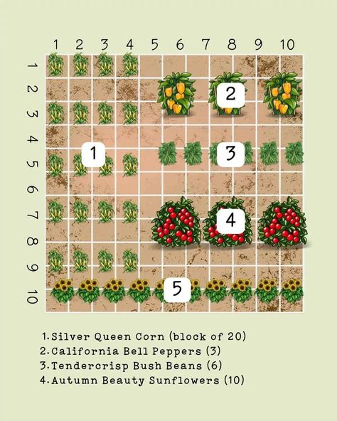 10 X 10 Garden Layout, Sq Ft Gardening Layout, Perfect Garden Layout, Veggie Garden Layout, Planting Layout, Garden Planning Layout, Garden Layout Vegetable, Small Vegetable Gardens, Vegetable Garden Planning