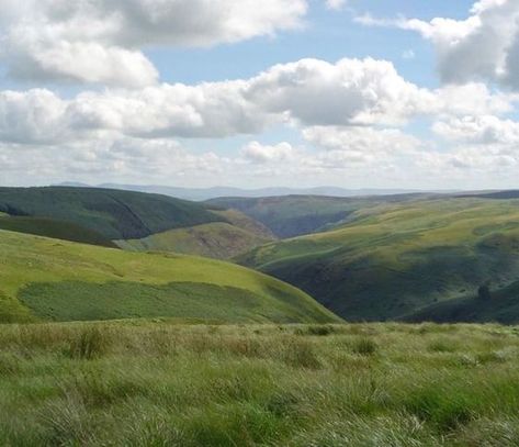 Green Hills, Jolie Photo, Rolling Hills, Nature Aesthetic, Green Grass, Pretty Places, Green Aesthetic, Mother Earth, Pretty Pictures