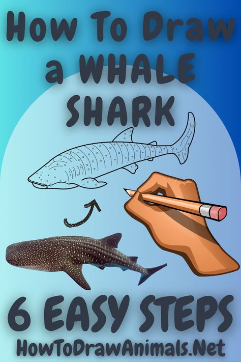 learn how to easily draw a whale shark Draw A Whale, Drawing Whale, Whale Shark Drawing, Shark Drawing, Whale Sharks, Shark Pattern, Easy Drawing Tutorial, Ocean Depth, Your Drawing