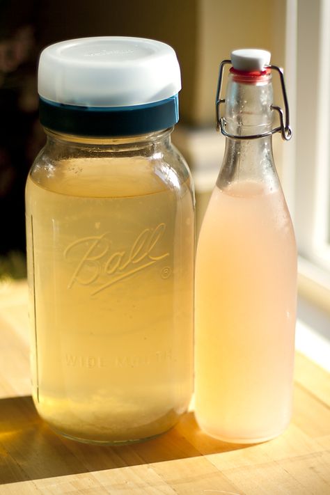 How to Ferment Water Kefir: Basic and Flavored - LIFE'S A PEARL Water Kefir Grains, Kefir Grains, Quart Size Mason Jars, Lemon Cucumber, Water Kefir, Milk Kefir, Watermelon Mint, Fermented Drink, Carbonated Water