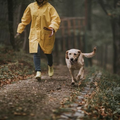 Dog Walks Aesthetic, Walks With Dog, Dog With Owner, Walking With Dog, Life With A Dog, Pet Photography Poses, Dog Walking Outfit, Walking A Dog, Dogs Walking