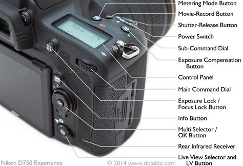 Camera Man, Photography Cheat Sheets, Exposure Compensation, Nikon D750, Photography Basics, Foto Tips, Camera Hacks, Camera Nikon, Learning Photography