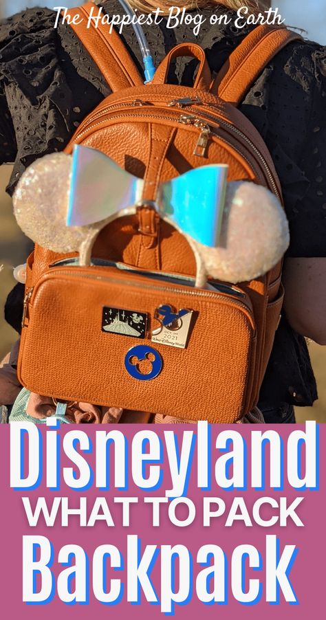 Disney Park Bag, Disneyland Backpack, Bag Must Haves, Disney Trip Surprise, Disneyland Planning, Plus Size Disney, Travel Tips Packing, Backpack Essentials, Travel Trailer Remodel