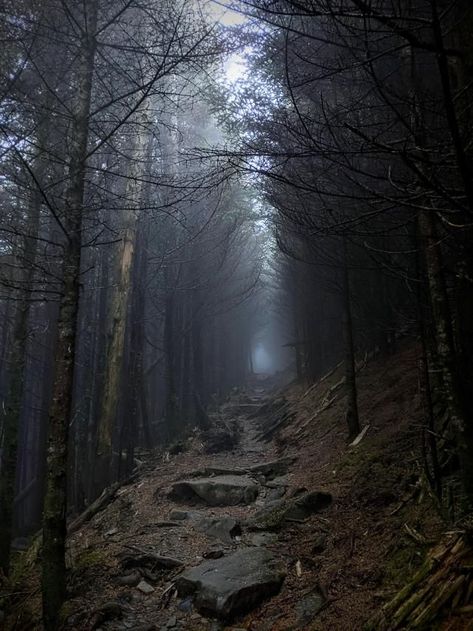 Appalachian Trail, North Carolina by Kristen00715 on reddit Appalachian Mountains Creepy, Dark Appalachian Aesthetic, Appalachian Core, Old Gods Of Appalachia Aesthetic, Appalachian Gothic Aesthetic, Appalachia Wedding, Appalachian Aesthetic, Appalachia Aesthetic, Appalachian Folklore