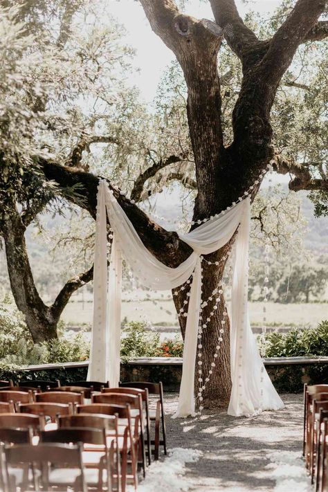 Wedding Arch Tree, Tree Wedding Ceremony, Ivory Backdrop, Reception Music, Wedding Alters, Sonoma California, Wedding Altars, Oyster Bar, Oak Trees