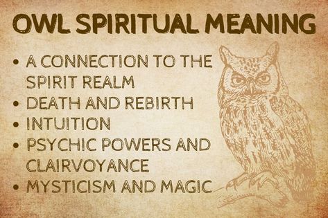 Seeing Owl Spiritual Meaning, Spiritual Meaning Of Owls, Owl Meaning Spiritual, Owl Spiritual Meaning, Owl Spirit Animal Meaning, Owl Meaning, Spirit Animal Test, Spirit Animal Quiz, Owl Symbolism