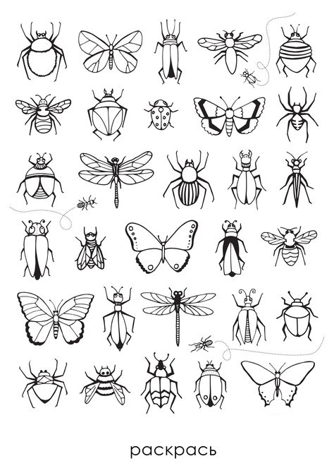 Aesthetic Insects, Bug Aesthetic, Trin For Trin Tegning, Doodles Aesthetic, Bug Tattoo, Insect Art, Aesthetic Tattoo, Tattoo Flash Art, Bugs And Insects