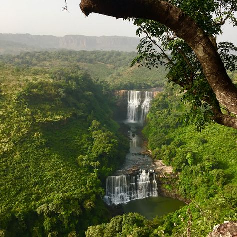 Ghana Forest, Sierra Leone Aesthetic, Guinea Africa, Congo Rainforest Photography, Guinea Country, Congo Rainforest, Guinea Conakry, Continents And Countries, Kakamega Forest Kenya