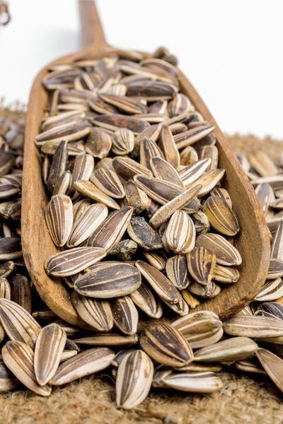 Roasting Sunflower Seeds, Harvest Sunflower Seeds, Harvesting Sunflower Seeds, Aloe Vera Uses, Low Estrogen Symptoms, Planting Sunflowers, Low Estrogen, How To Roast, Nutritious Snacks