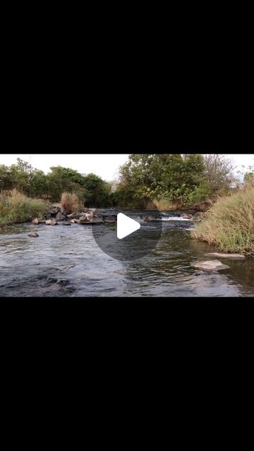 Shatakshi_Captures on Instagram: "“Sunset whispers secrets to the flowing stream, painting the world in hues of tranquility.” #sunset #sunsetlovers #sunshine #river #riversideview #stream #flow #nature #naturelovers #naturephotography #natgeotravelpic #video #reelsinstagram #reels #reelitfeelit #reelsindia #viral #explore #india #travel ." Stream Painting, India Travel, Nature Photography, India, The World, Travel, Quick Saves, Instagram, Nature