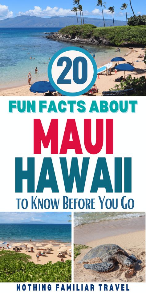 Maui Hawaii Things To Do In Maui With Kids, What To Do In Maui Hawaii, Maui Hawaii Things To Do In, Travel To Hawaii, Hawaii Ideas, Visiting Hawaii, Best Beaches In Maui, Maui Travel Guide, Hawaii Vacation Tips