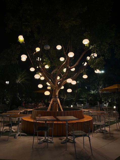 Aesthetic tree with lights Boho Restaurant, Selfie Point, Aesthetic Tree, Tree Bar, Tree Restaurant, Fairy Lights Wedding, Small Yard Landscaping, Tree With Lights, Outdoor Restaurant Design