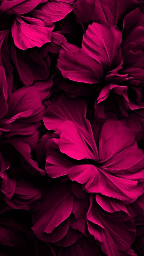 Marija Aesthetic, Magenta Iphone Wallpaper, Magenta Wallpaper Iphone, Magenta Aesthetic Wallpaper, Dark Magenta Aesthetic, Fuschia Background, Magenta Aesthetic, Magenta Wallpaper, Android Wallpaper Art