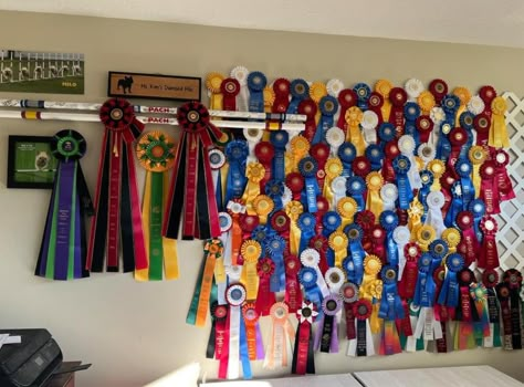 Livestock Aesthetic, Award Ribbon Display, Horse Ribbon Display, Show Ribbon Display, Emily Room, Horse Show Ribbons, Horse Ribbons, Hunter Jumper Horses, Ribbon Display