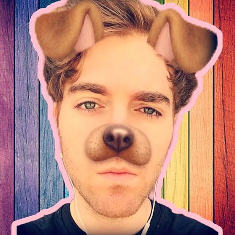 *sigh* I cant wait for the next video. I NEED TO KNOW WHY THEY WENT TO TEXAS #shanedawson #shanedawsonedit #picsart #shanaynay… Jack Harries, Caspar Lee, Shane Dawson Memes, Shane And Ryland, Dog Filter, Ricky Dillon, Connor Franta, Joey Graceffa, Kian Lawley