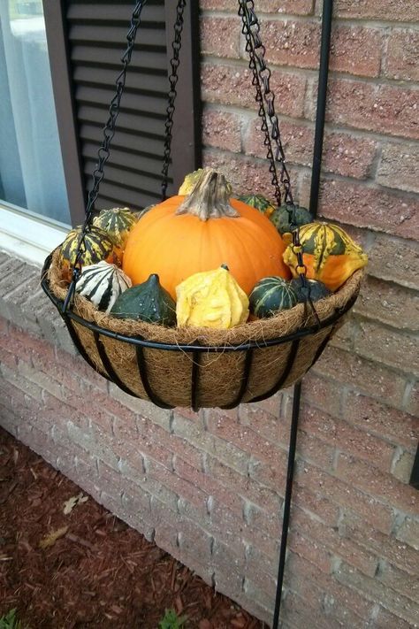 Outdoor fall decor - fill a hanging basket with a coco liner, pumpkin & gourds. Fall Hanging Basket Ideas, Fall Baskets, Fall Hanging Baskets, Pumpkin Gourds, Diy Fall Decorations, Thanksgiving Decorations Outdoor, Fall Yard Decor, Pots Ideas, Fall Yard