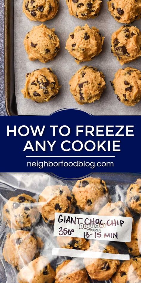 Sugar Cookie Cut Outs, Freeze Cookies, Freezing Cookies, Freezable Cookies, Freezer Cookies, Cookies And Bars, Freezing Food, Cut Out Cookie Recipe, Frozen Cookie Dough