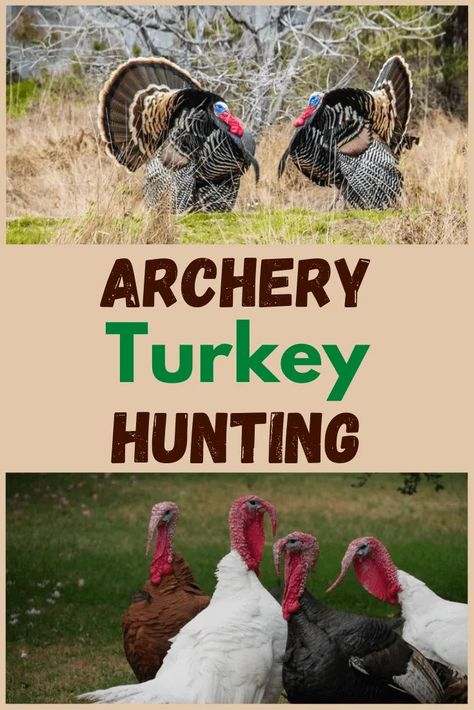 Turkey hunting is a humbling sport and the challenge of it all makes it addictive. Here's archery turkey hunting 101. Turkey Hunting, Deer Hunting Gear, Hunting Diy, Shtf Preparedness, Deer Hunting Tips, Quail Hunting, Turkey Calling, Hunting Life, Hunting Tips