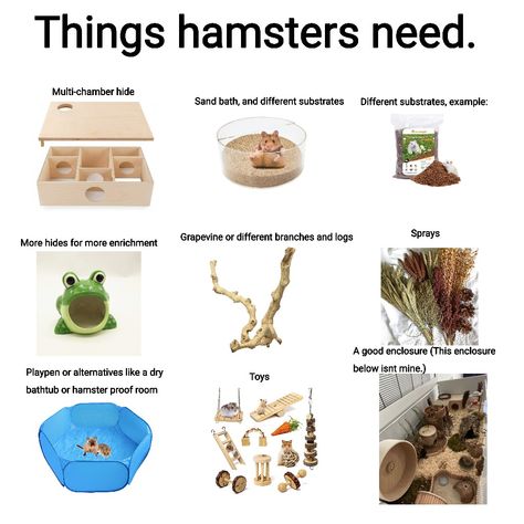 Hamster Fairy Cage, Hamster Must Haves, Pet Hamster Cage, Mouse Cage Diy, How To Take Care Of Hamsters, Hamster Accessories Diy, Hamster Care Checklist, Diy Hamster Enrichment, Syrian Hamster Cage Ideas