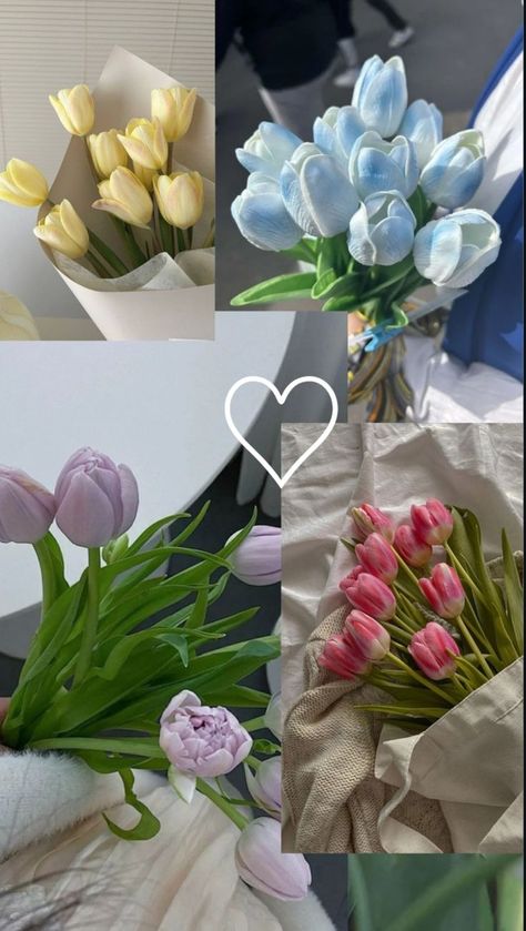 #aesthetic #tulips #pinktulips #smooth #pink #veil #glitters #glitter #light #bouquet #spring #white #wallpaper . Tulip Flower Pictures, Tulip Wallpaper, Luxury Flower Bouquets, Wallpaper Lock Screen, نباتات منزلية, Zinnia Flowers, Vintage Flowers Wallpaper, Boquette Flowers, Flower Gift Ideas