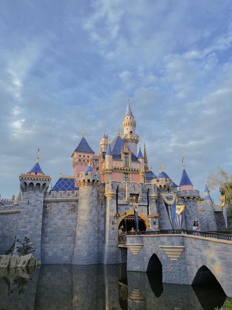 Disneyland California Castle, Coaster Inspiration, Disney Castles, Disneyland Ca, Disneyland Princess, The Kingdom Of Magic, Disneyland Castle, Planet Coaster, Disney Photo Ideas