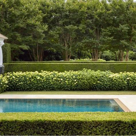 EH Hollander Design, Landscaping Around Pool, Backyard Pool Ideas, Hampton Garden, Horse Chestnut Trees, Pool Landscape, Beautiful Sunday, French Style Homes, California Garden