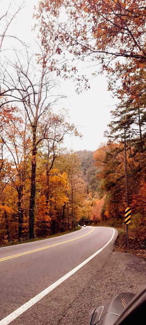 10-10 recommend a drive through the mountains of Tennessee just to see the beautiful fall colors 🍂🍁 Tennessee Mountain Home, Smokey Mountains Tennessee Fall, Gatlinburg Tennessee Fall, Western Tennessee, Tennessee Pictures, Tennessee Aesthetic, Tennessee Fall, Tennessee Homes, Tennessee Living