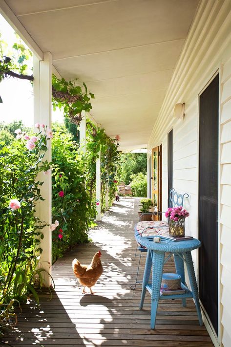 Country Porch, Farmhouse Porch, Down On The Farm, The Porch, Country Farm, A Chicken, Country Gardening, Porch Patio, Shade Garden