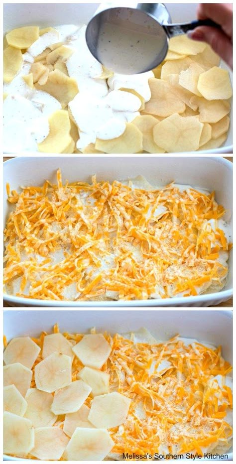 thinly sliced potatoes in a baking dish with shredded cheese Shredded Cheese Recipes, Can Potatoes Recipes, Shredded Potato Casserole, Scalloped Potato Casserole, Cheesy Potato Bake, Cheesy Scalloped Potatoes Recipe, Cheesy Scalloped Potatoes, Scalloped Potatoes Recipe, Potatoes And Cheese