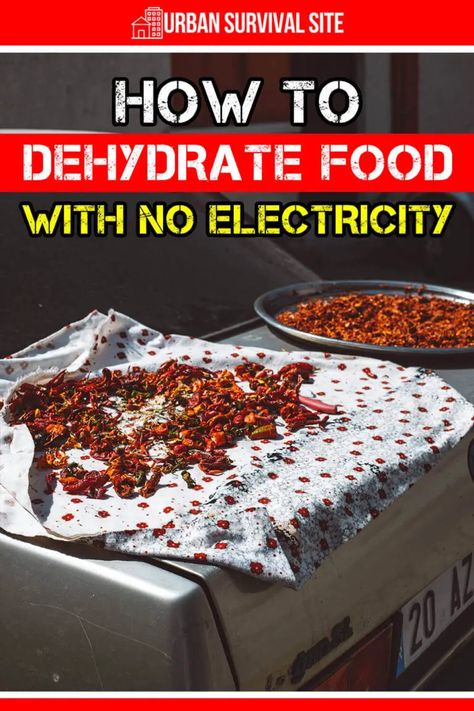 Dehydrating Food Storage, Emergency Preparedness Items, Survival Food Storage, Food Dehydration, Dehydrating Food, Dehydrated Foods, Vegetable Harvest, Dehydrated Vegetables, Homestead Life