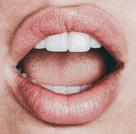 Mouth Anatomy, Lips Photo, Ig Highlights, Lip Gloss Colors, Face Reference, Teeth Care, Hot Lips, Beautiful Lips, Anatomy Reference