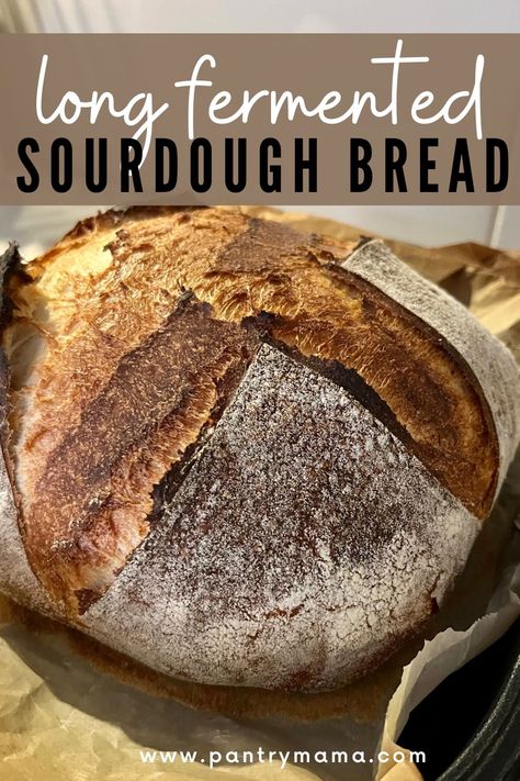 Leaven Bread Recipe, Leavened Bread, Beginners Bread Recipe, Easy Sourdough Bread Recipe, Fermented Bread, Homemade Sourdough Bread, Sourdough Starter Recipe, Sourdough Bread Recipe, Sourdough Baking