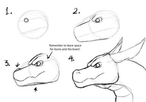 How to draw a dragon by Tallinax on DeviantArt Cool Dragon Drawings Easy, How To Draw A Dragon Easy, How To Draw A Dragon, Dragon Head Drawing, Draw A Dragon, Easy Dragon Drawings, Dragon Anatomy, Dragon Face, Cartoon Dragon