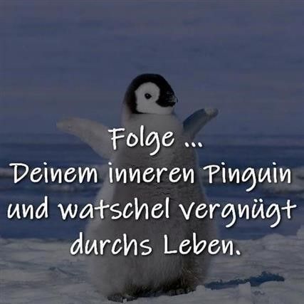 guten morgen bilder pinguin - Gb Bilder • GB Pics - Gästebuchbilder German Quotes, Wonders Of The World, Cool Words, Philosophy, Read More, Words Of Wisdom, Improve Yourself, Funny Pictures, Inspirational Quotes