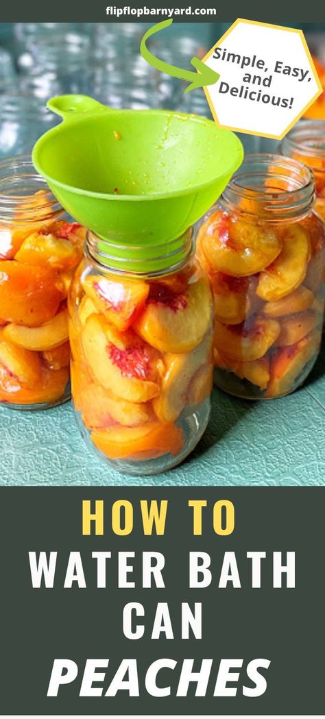 How to can peaches. Water bath canning peaches is simple. This is the easy way to can peaches. If you want to preserve fresh peaches for enjoying all year, this is the best method! #Canning #PreservingFood #Peaches Canning Peaches Recipes, Preserve Peaches, Can Peaches Recipes, How To Can Peaches, Freezing Peaches, Can Peaches, Water Bath Canning Recipes, Canning Peaches, Pressure Canning Recipes