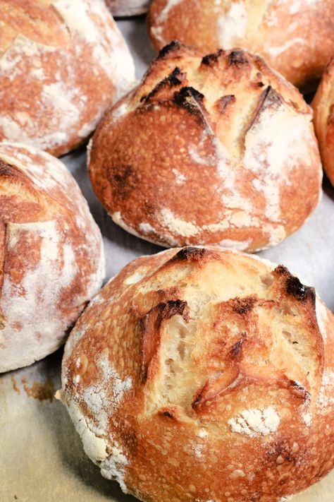 Homemade Sourdough Bread Bowls Prefect for Soup Bread Bowl For Soup, Small Bread Bowls For Soup, Sourdough Soup Bowl Recipe, Sourdough Soup Bowl, Sourdough Discard Bread Bowls, Mini Sourdough Bread Bowls, Kitchenaid Bread Bowl Recipes, Sourdough Bread Bowls For Soup, Mini Sourdough Boules