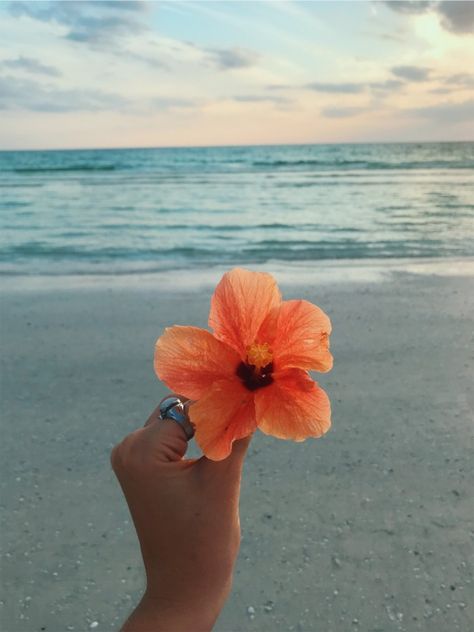 VSCO - tiffjoy Cute Couple Aesthetic, Sunnyvale California, Couple Aesthetics, Beachy Aesthetic, Beach Flowers, Photo Wall Collage, Foto Ideas Instagram, Summer Wallpaper, Tropical Vibes