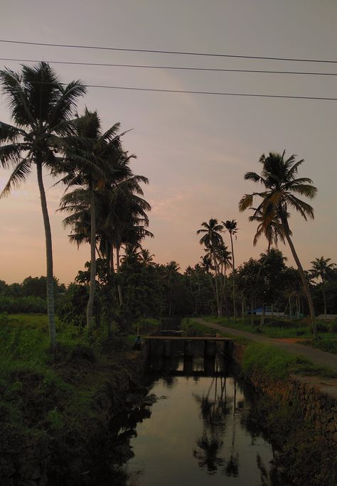 South India Asthetics, Aesthetic Kerala Pictures, Kerela Girls Aesthetic, Kannada Aesthetic, Telugu Aesthetic, Kerala Aesthetic, Kerala Vibes, Kerala Culture, I Miss Home