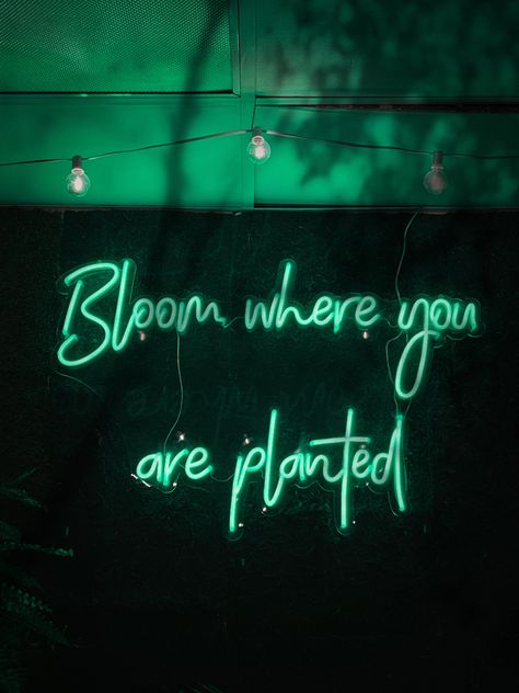 Green Quote Wallpaper, Emerald Green Bedrooms, Attractive Wallpapers, Dark Green Wallpaper, Green Name, Green Quotes, Magic Quotes, Dark Green Aesthetic, Bloom Where You Are Planted