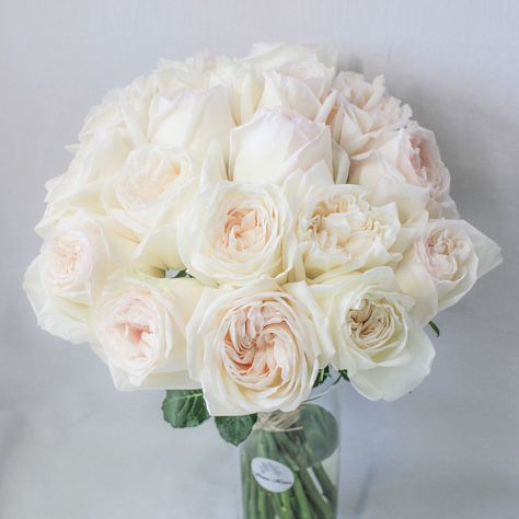 White O’Hara Garden Roses - variety I carried in my wedding bouquet Garden Rose Bridal Bouquet, White Garden Rose, Rose Bridal Bouquet, Rose Varieties, Rose Wedding Bouquet, Garden Rose, White Garden, White Gardens, Garden Roses