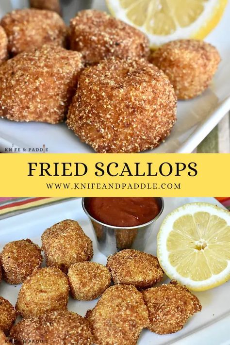 Fried Scallops Recipe • www.knifeandpaddle.com Fried Scallops Recipe, Louisiana Fish Fry, Frozen Scallops, Fried Scallops, Fresh Scallops, Scallops Recipe, Lenten Recipes, Baked Scallops, Dried Scallops