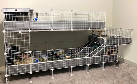 Kristie's Stacked Super Cage for MALES! - Customer Stories Table Top Bunny Cage Indoor, C&c Rabbit Cage Ideas, C&c Cage Ideas, Guine Pig Cage Ideas, Guinea Pig C&c Cage Ideas, C C Cage Guinea Pigs Ideas, C&c Guinea Pig Cage Ideas, Cute Bunny Cage Ideas, Indoor Guinea Pig Cage Ideas