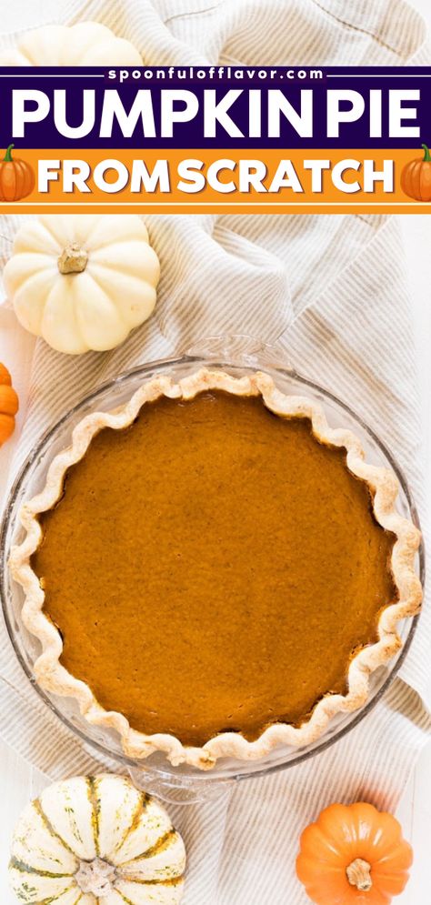 Learn how to make The Best Pumpkin Pie from Scratch! This easy pumpkin recipe is a classic pie with a traditional spiced whipped pumpkin filling in a homemade crust. It makes a great Thanksgiving sweet treat! Homemade Pumpkin Pie From Real Pumpkins, Pumpkin Pie From Pumpkin Puree, Pumpkin Pie Shell Recipe, How To Make Pumpkin Puree For Pie, How To Bake Pie Pumpkins, Making Pumpkin Pie From Pumpkins, Ed Smith Pumpkin Pie Filling Recipes, Baking Pumpkin Pie Aesthetic, Cinderella Pumpkin Pie Recipe