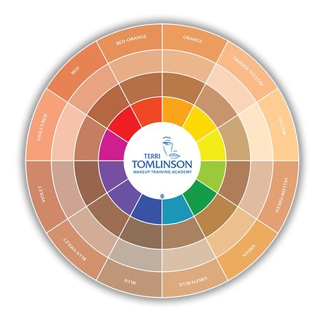 Eyeshadow Color Wheel, Color Wheel For Makeup Artist, Makeup Colour Wheel, Makeup Color Theory, Color Wheel For Makeup, Color Wheel Makeup, Color Theory Skin Tone, Color Theory Makeup, Skin Tone Chart