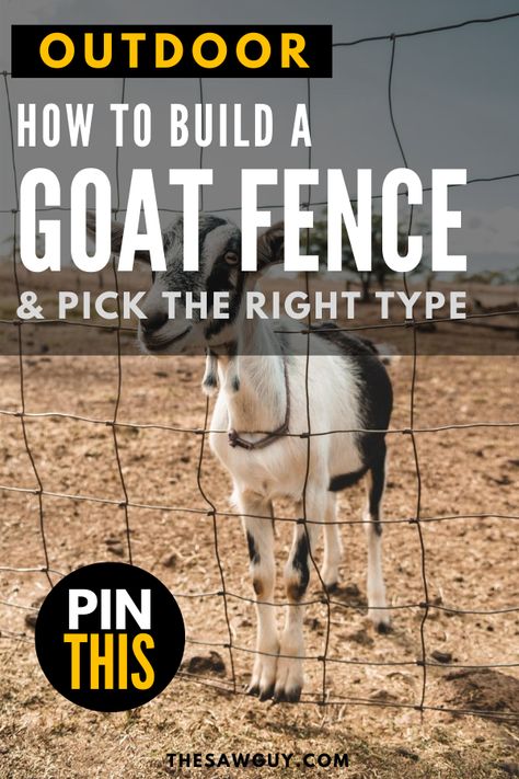 Goat Fencing, Diy Fencing, Goat Fence, Types Of Goats, Backyard Improvements, Build Outdoor Furniture, Electric Fencing, Raising Farm Animals, Goat Barn