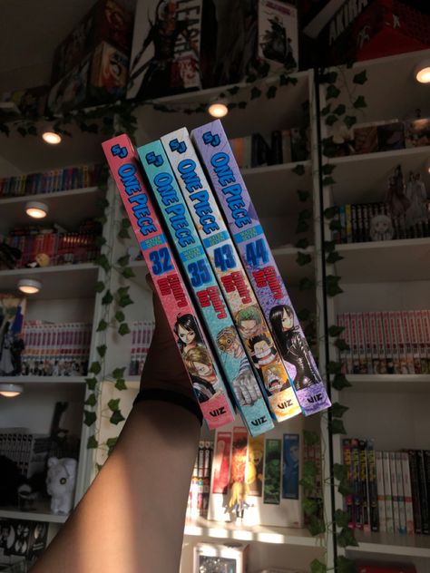 One Piece Manga Shelf, One Piece Manga Collection, One Piece Room, Manga Collection, One Piece Manga, Displaying Collections, Diy Art, The One, Vision Board