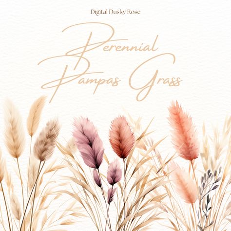 Pampas Grass Clipart, Botanical Neutral Tones, Wedding Clipart, Watercolor Perennial, Boho Dried Flowers Neutral Tones Wedding, Boho Dried Flowers, Grass Clipart, Wedding Clipart, Feb 8, Pampas Grass, Boho Vibe, Neutral Tones, Boho Wedding