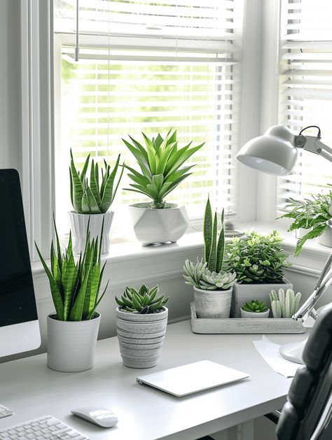 Succulent Ideas: Modern and Cozy Home Office with Echeveria Pots Succulent Ideas, Succulent Arrangements Indoor Table Living Room, Office Desk Plants Ideas, Succulents For Desk, Feng Shui Home Office, Succulent Arrangements Aesthetic, Office Decor Workplace, Office Plants Desk, Office Decore