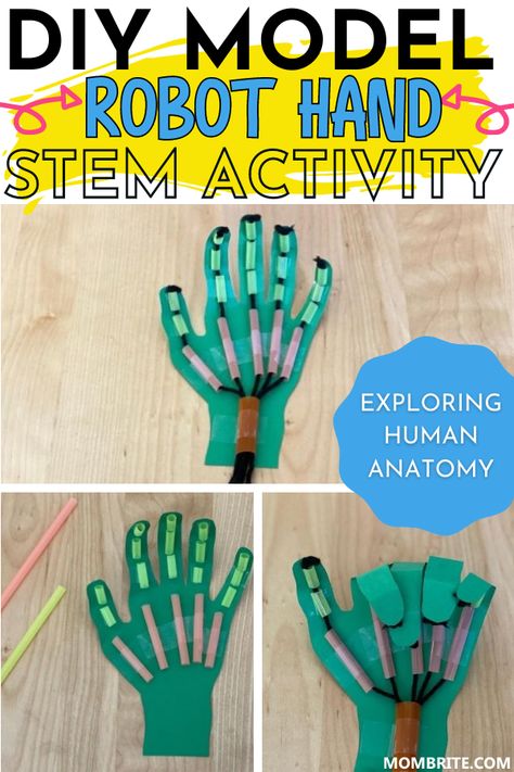 Stem Hand Project, 4th Grade Stem Projects, Robot Hand Stem Activity, Stem Engineering Projects For Kids, Robot Hand Diy, School Aged Activities, Anatomy Stem Activities, Engineering Crafts For Preschool, Stem Arts And Crafts